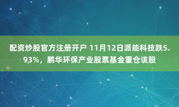 配资炒股官方注册开户 11月12日派能科技跌5.93%，鹏华环保产业股票基金重仓该股